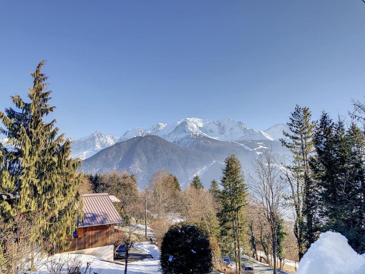 帕西Mont Alt, F2 40M2 En Rdc, Calme, Vue Mt Blanc公寓 外观 照片